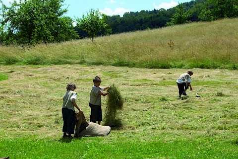 Drei Kinder sammeln Heu auf einem Feld und packen es in Säcke